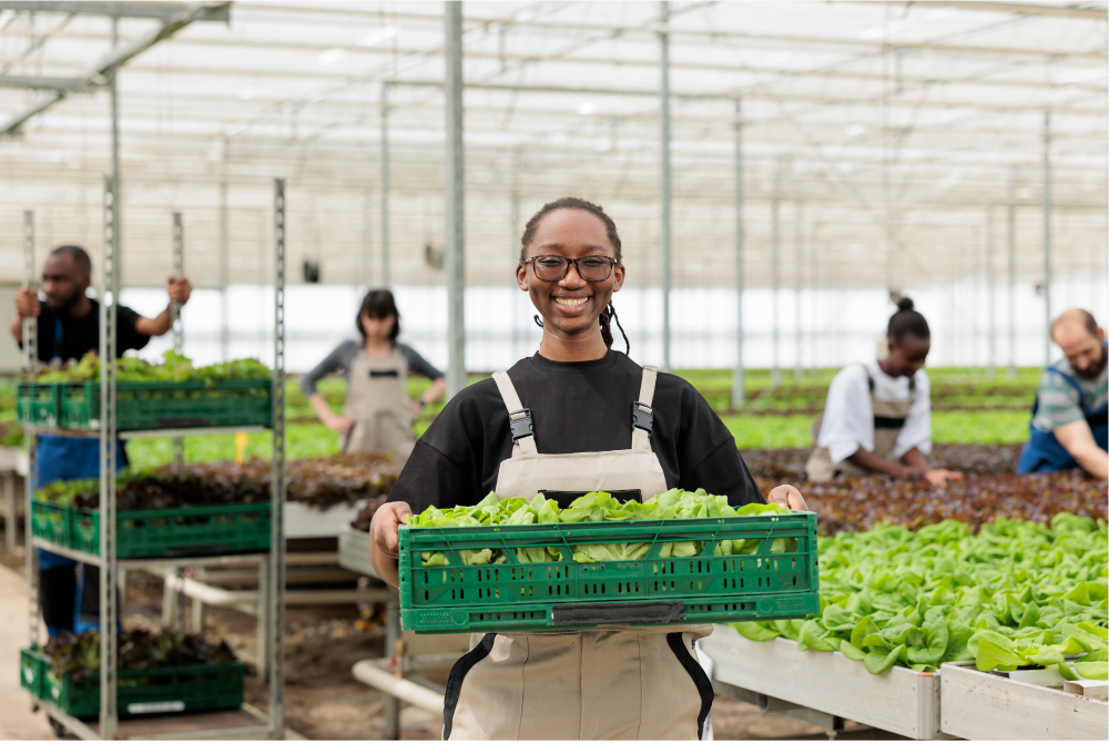happy-cheerful-african-american-farm-worker-holding-crate-full-local-eco-friendly-ripe-leafy-greens-from-sustainable-crop-harvest-entrepreneurial-bio-permaculture-greenhouse-farm
